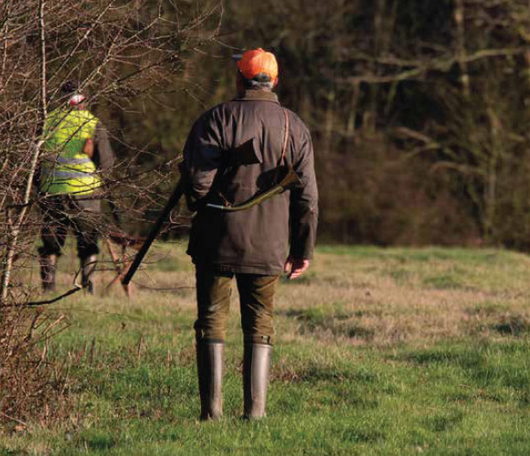 Gibier d’automne : l’Ecosse, paradis  des chasseurs