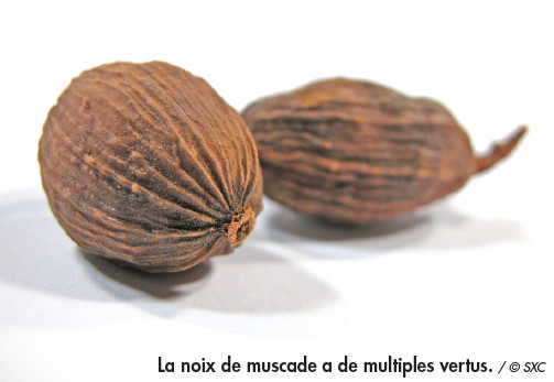 Les secrets de la noix muscade