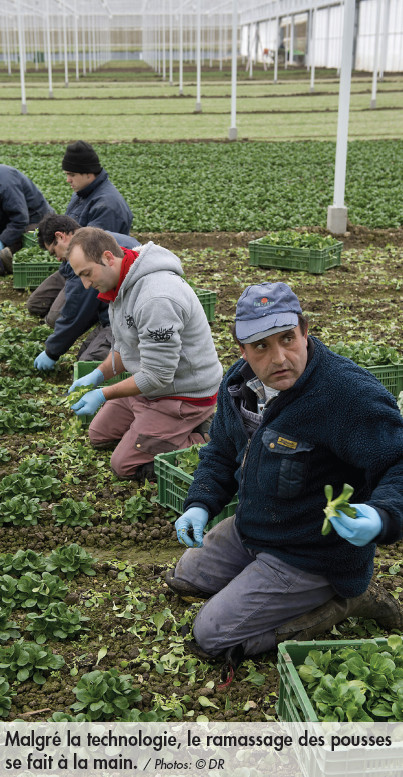 Culture bio et technologies de dernière génération