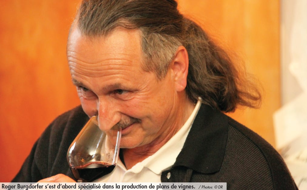 Roger Burgdorfer s’est d’abord spécialisé dans la production de plans de vignes. Photos: © DR