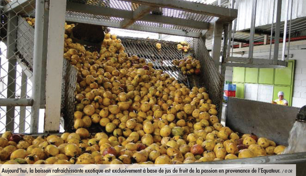 Agrifrance SA, le spécialiste en volaille de France, à l’heure d’été 2013
