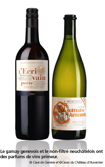 Beaujolais Nouveau  et autres vins «primeurs»