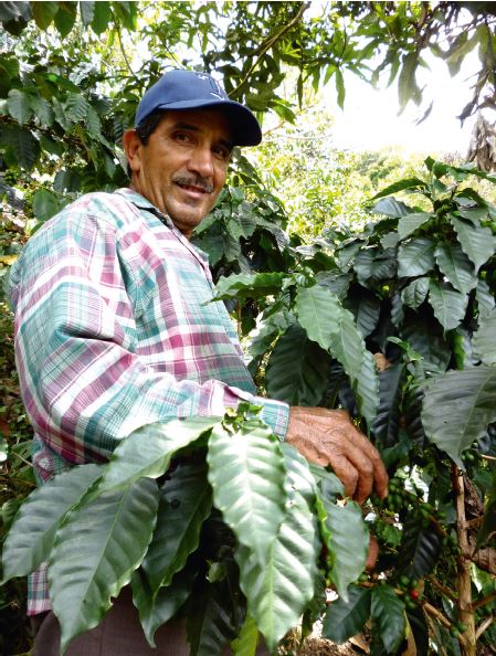 Un projet innovant pour le café Fairtrade