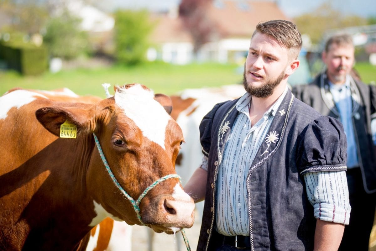 La Fête a ses 40 vaches