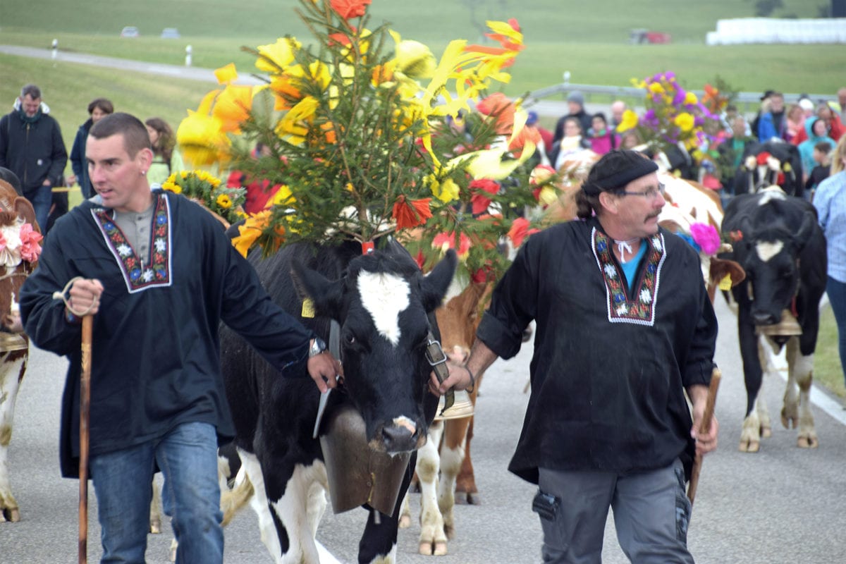 La 31e désalpe du Canton du Jura