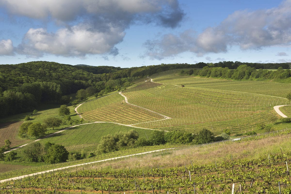 Vaud – Un millésime solaire