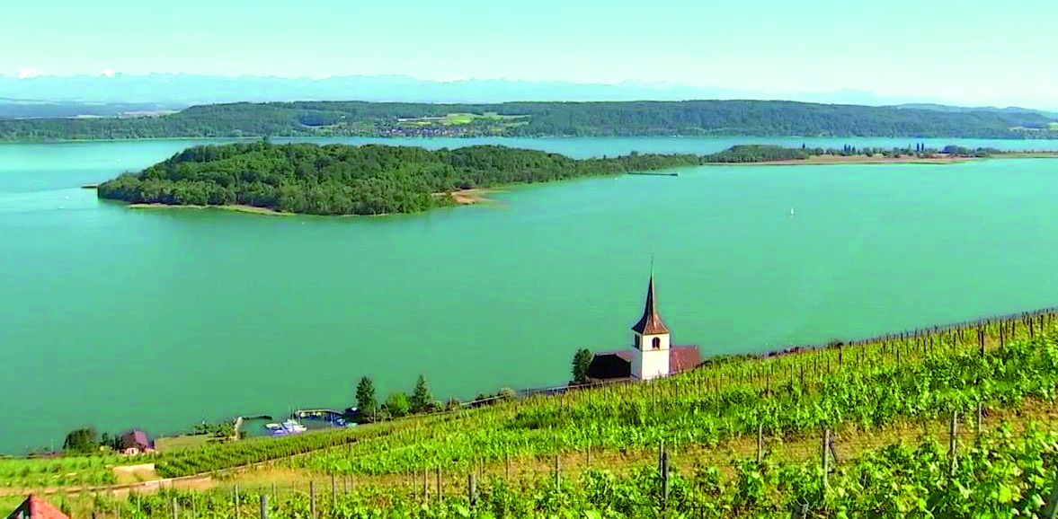 Vitiviniculture : entre désarroi et espoir du lendemain