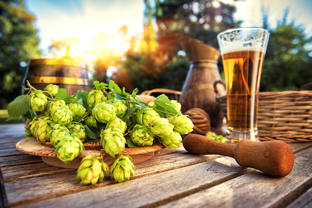 La petite histoire des aliments: la bière