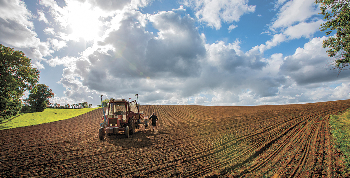 Préparer l’agriculture et l’alimentation de demain