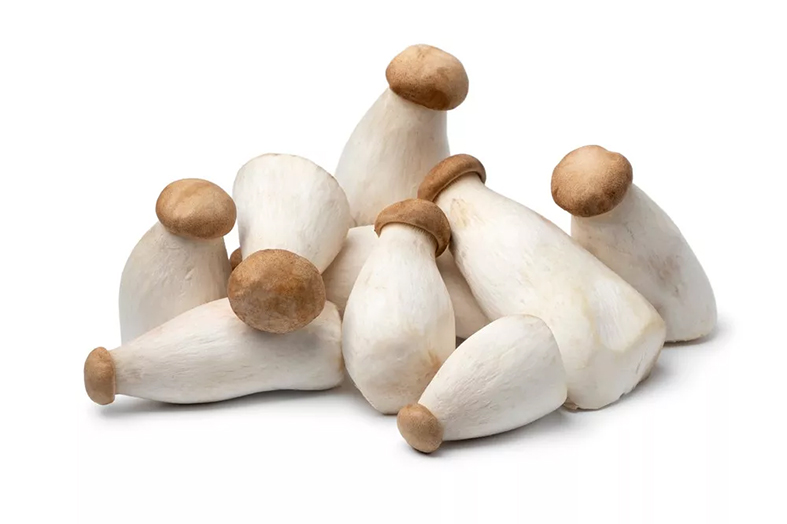 Des amours de champignons