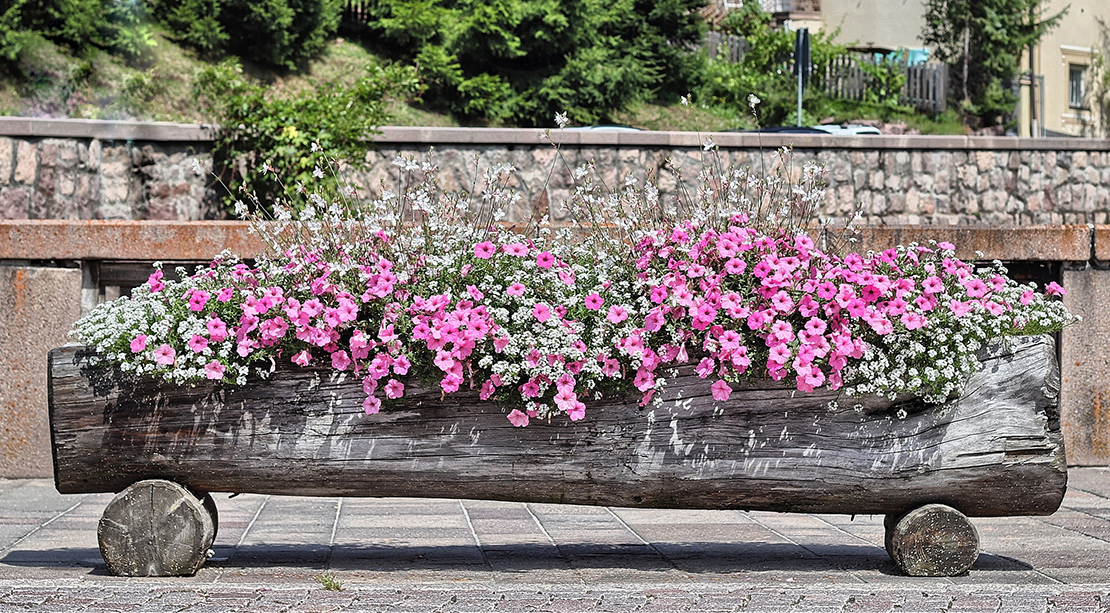 Concours des terrasses fleuries