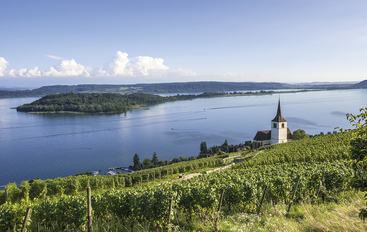 Vignoble du lac de Bienne : le retour des jours heureux