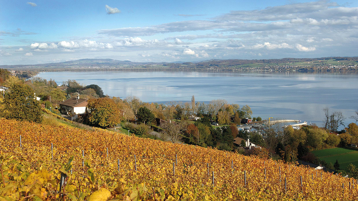 Domaines du Vully courtiser une nouvelle clientèle