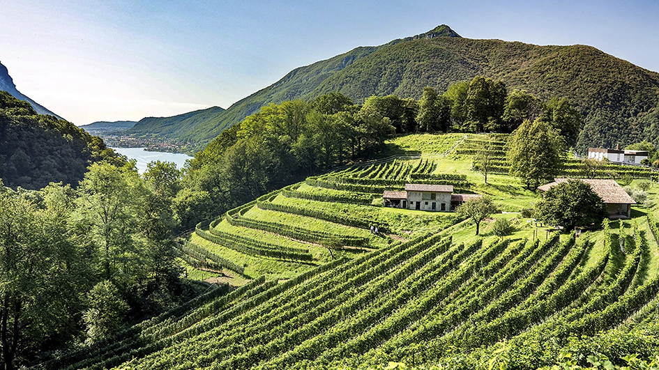 Le Tessin déploie ses charmes et ses saveurs