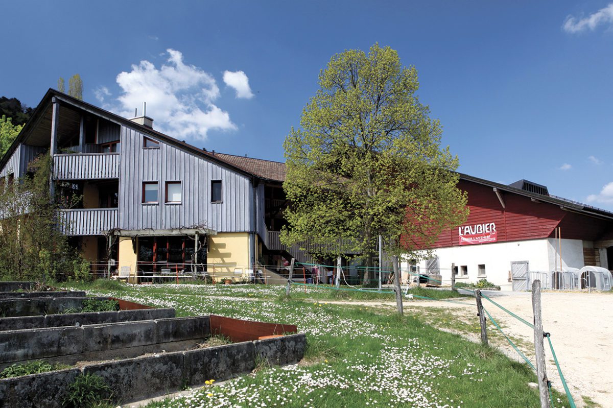 Restauration, hôtellerie, café et produits bios à L’Aubier