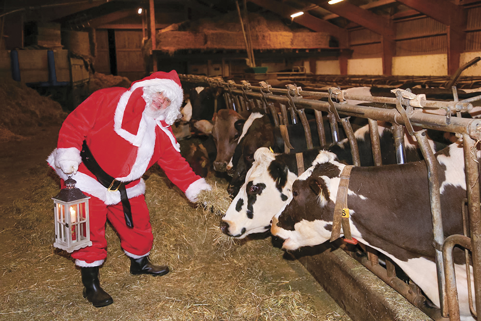 Le Père-Noël à la ferme