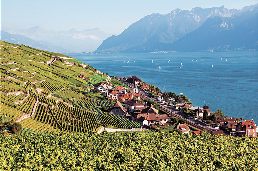 Tout savoir sur les  divins crus de Lavaux