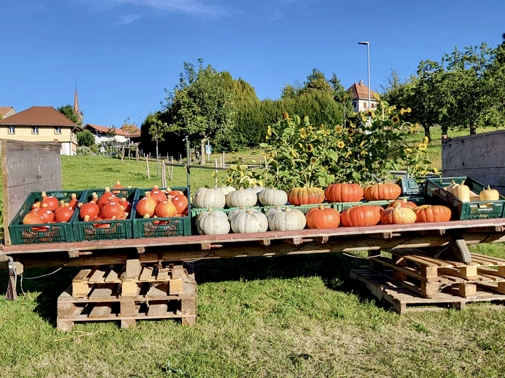 Les trésors de la Ferme Perritaz