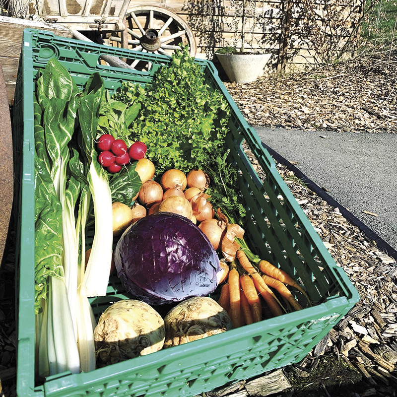 Les fruits et légumes de maître Jacot