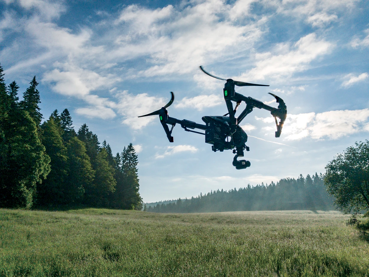 Des drones pour aider les agriculteurs à épargner les faons