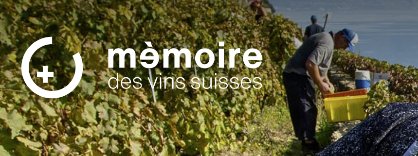 Coup de jeune à la Mémoire des Vins Suisses