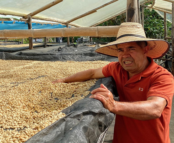 Café: les atouts de la Colombie