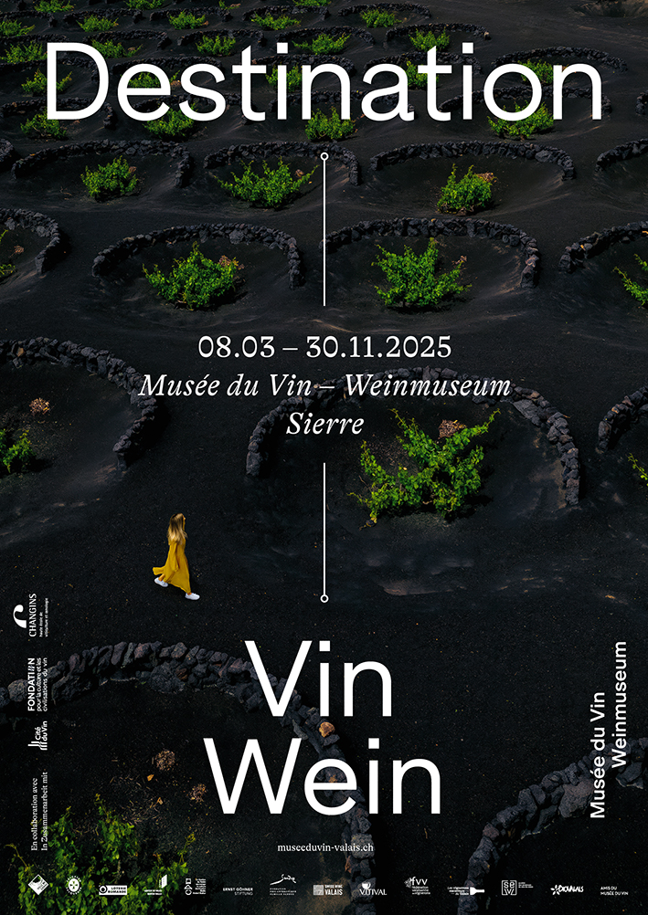 Des vignes du Valais, départ pour un voyage à destination de vignobles étonnants