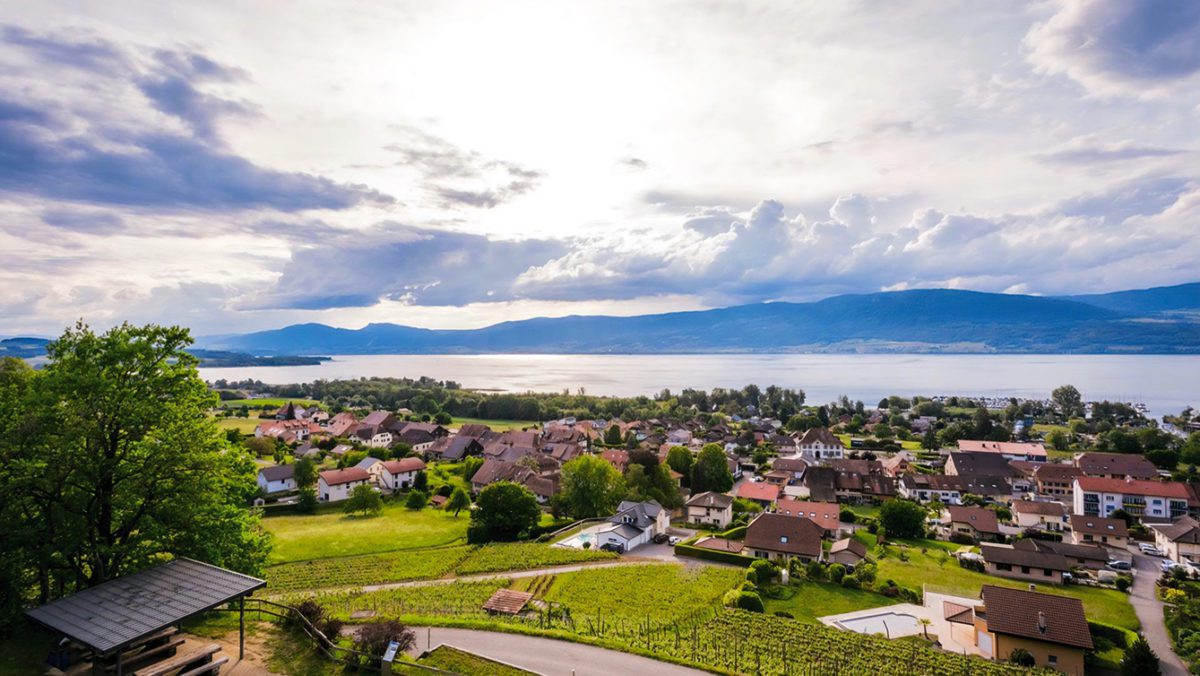 Le « Petit Poucet »   fribourgeois des domaines vitivinicoles romands