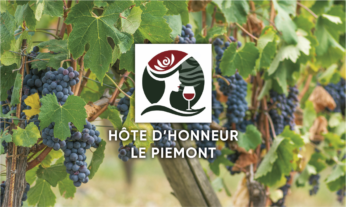Les splendides vignobles du Piémont