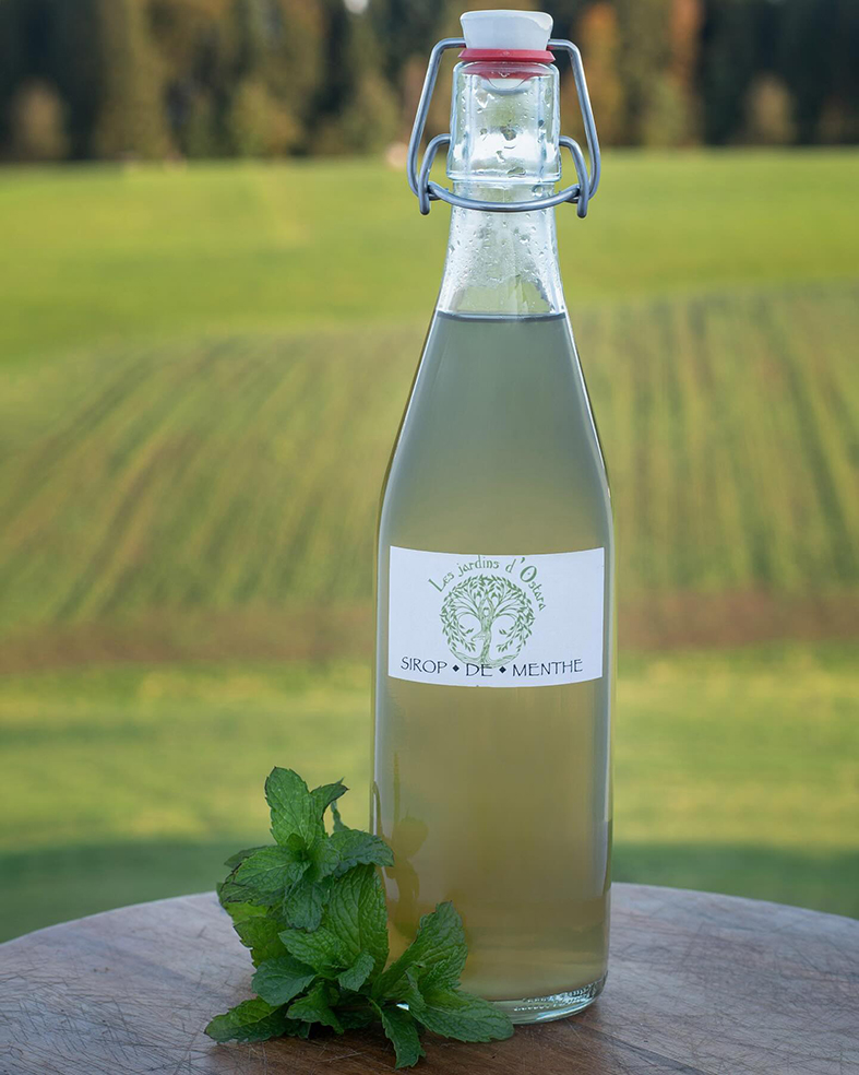 Boissons « vivantes » et herbes aromatiques : une visite aux Jardins d’Ostara